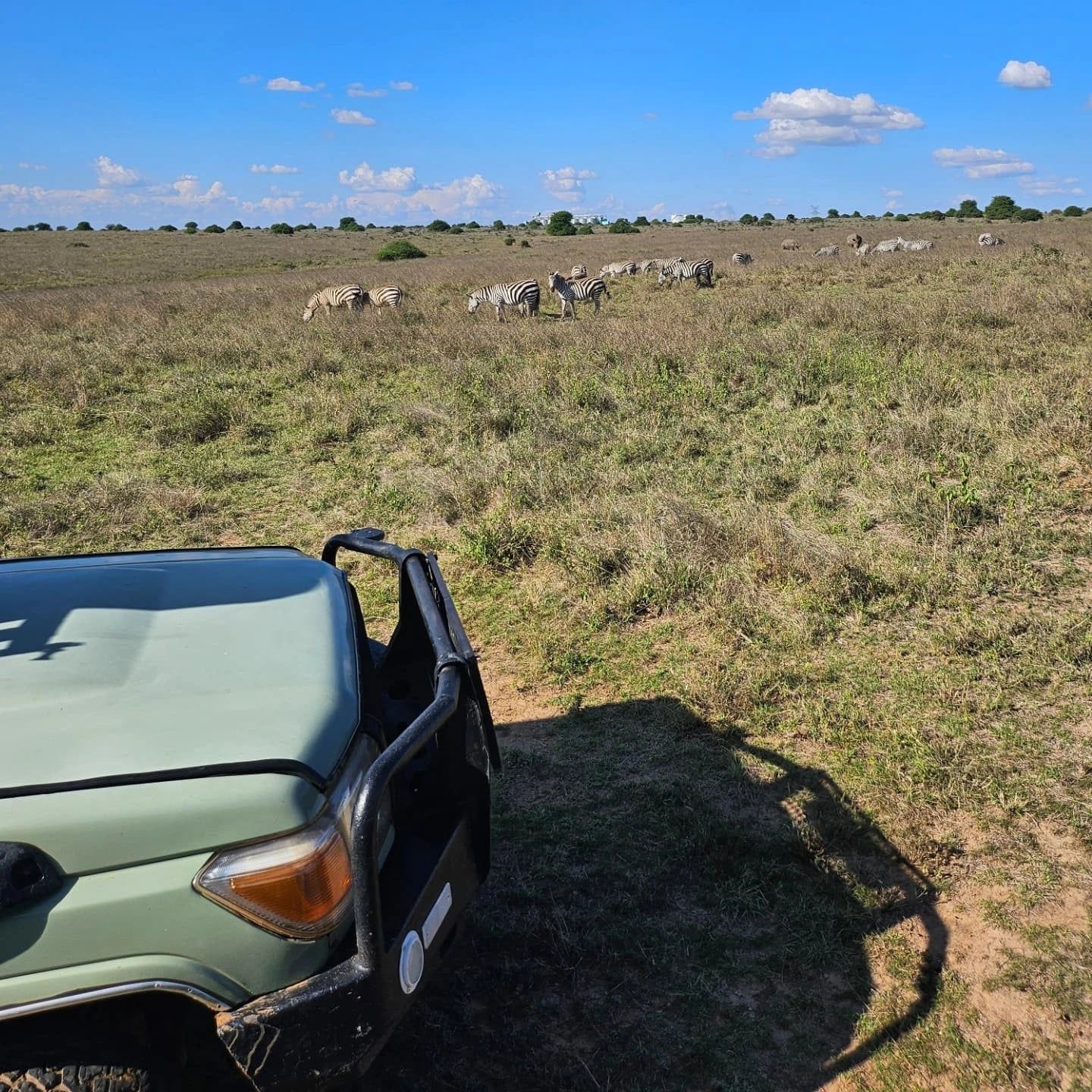 Nairobi National Park tour visitor photo