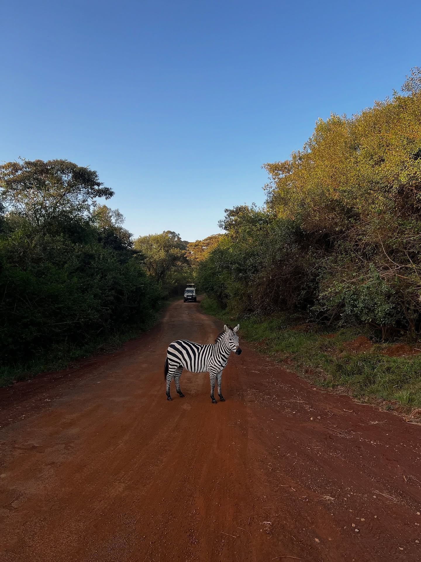Nairobi National Park tour visitor photo
